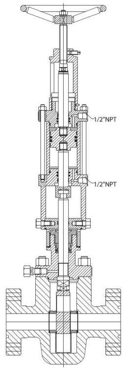 hydraulic actuated Slab gate valves 1