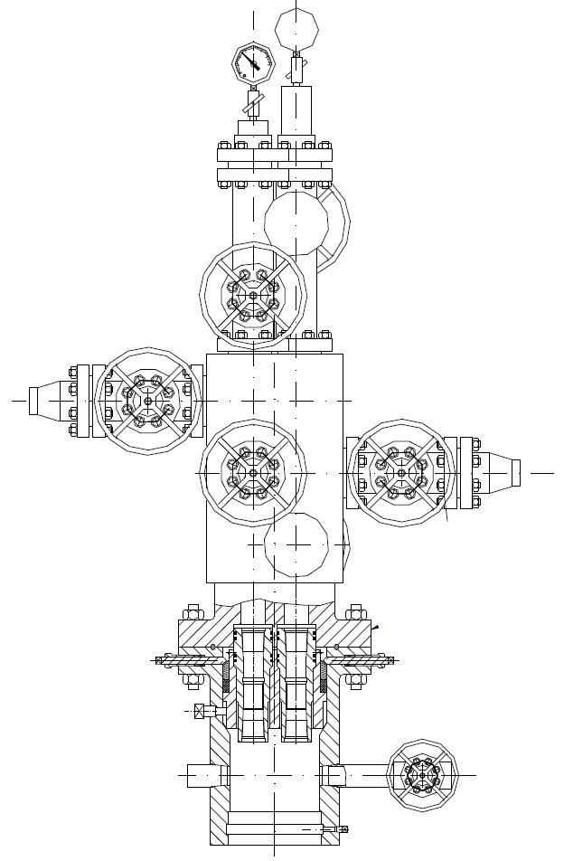 dual stem inject wellhead